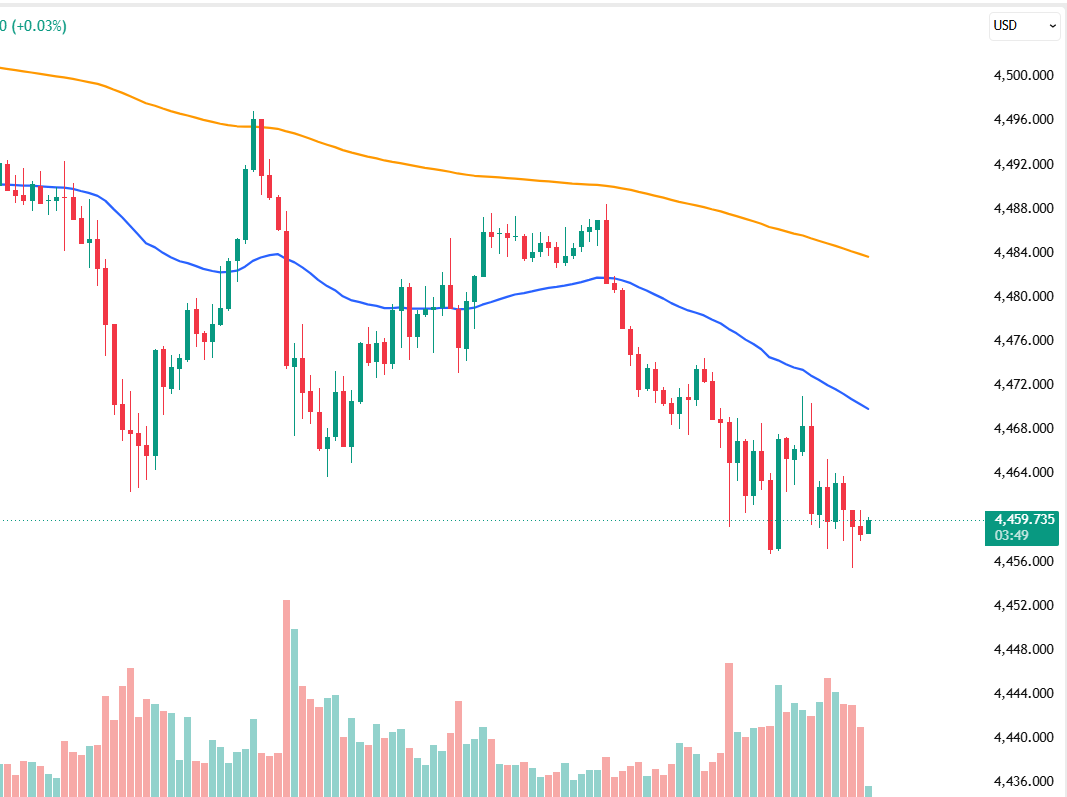 AMForex2's tweet photo. GM Traders

Let's Connect https://t.co/olo7Ghor0S