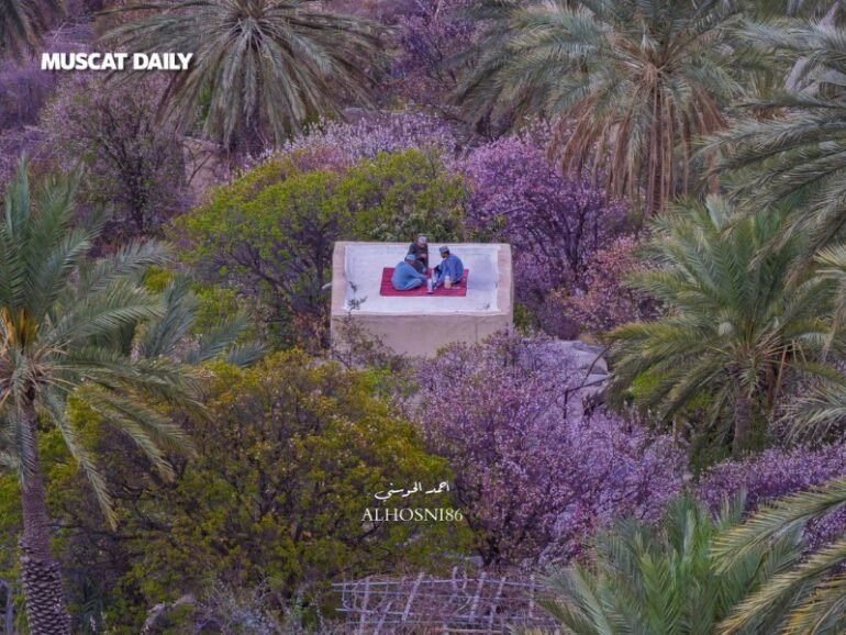 f_sinani's tweet photo. -
 "مادامَ اللهُ يَرعاكَ فاطمئن، فلن يَضيعَ
قلبٌ في حِفظِ الله، ولن تَخذُلُكَ خُطوةٌ ڪانَ اللهُ فيها مَعكَ"..♡

💜 صباحكم إطمئنان 💜 https://t.co/XtL3u6HKQo