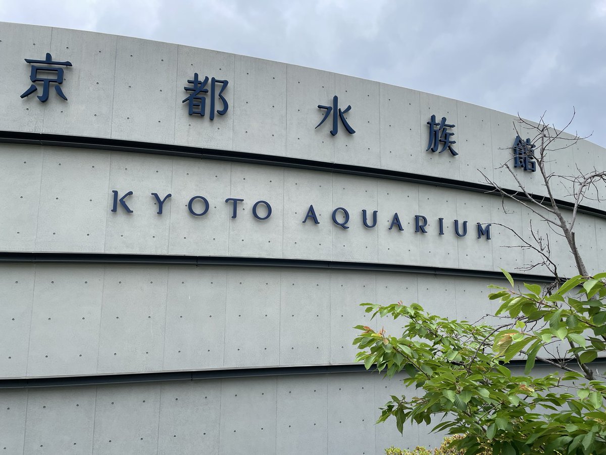 daisepazon's tweet photo. 京都水族館行ってきた〜🐬( *´꒳`*) https://t.co/0bOpOEw3cE