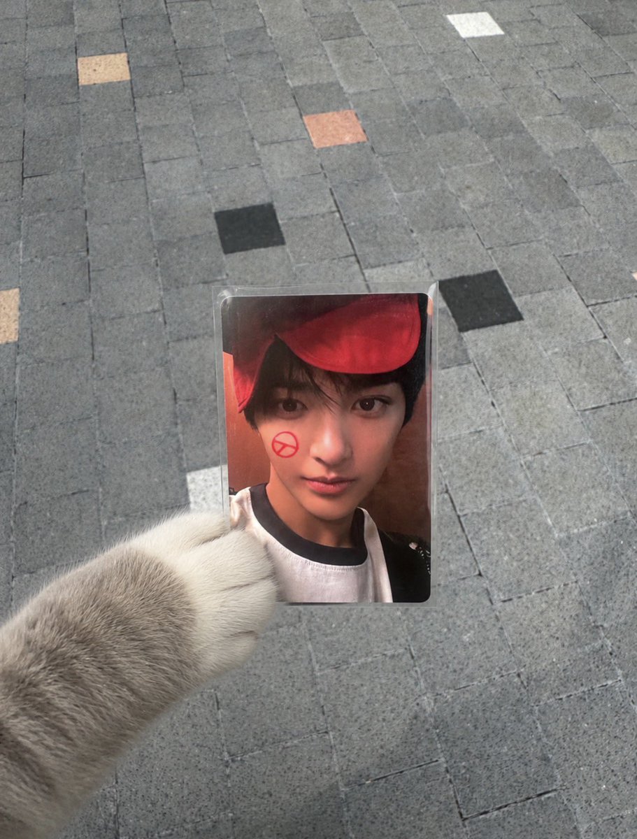 oxnoenz's tweet photo. 투표완 ◠ ◠ https://t.co/PDGZl4sg20
