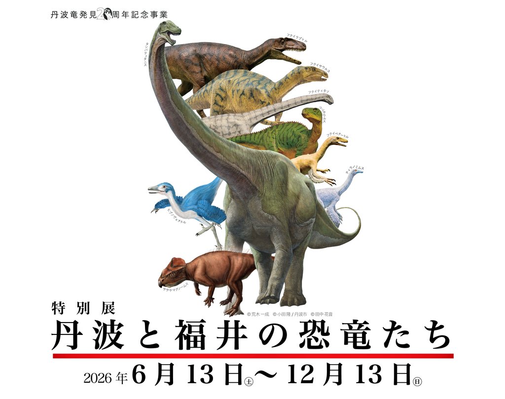 Tambaryu0807's tweet photo. 【臨時休館のお知らせ】
6月の

8日（月）〜12日（金）
29日（月）〜30日（火）

は、タンバティタニスの全身骨格のお見送りと、福井の恐竜たちのお迎えなどのため、臨時休館します。
13日（土）から開催の
特別展「#丹波と福井の恐竜たち」
をお楽しみにしてください！ https://t.co/Ui612hB1n0