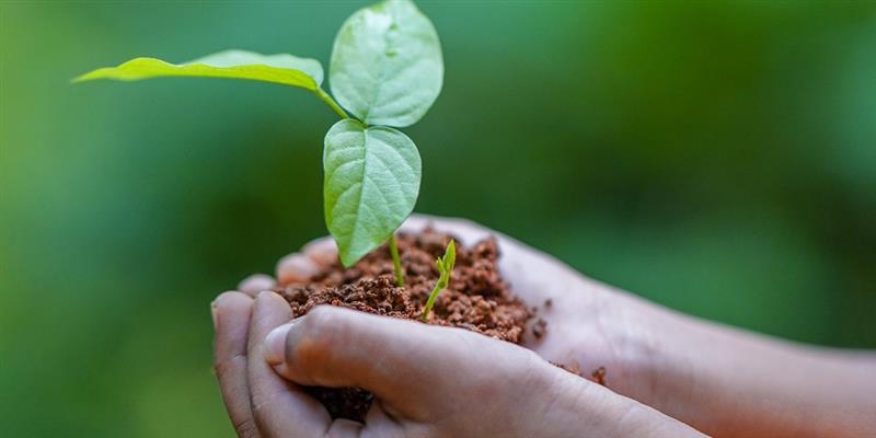 ServiciosAND's tweet photo. 🌍 En el Día Mundial del #MedioAmbiente

➡️ Visita el Portal Ambiental de #Andalucía, con información, recursos y servicios sobre biodiversidad, cambio climático, agua, residuos y mucho más

🔗https://t.co/KVoVQQUTc5

@MedioAmbAND @REDIAM_Oficial https://t.co/9kRKJPOP3d