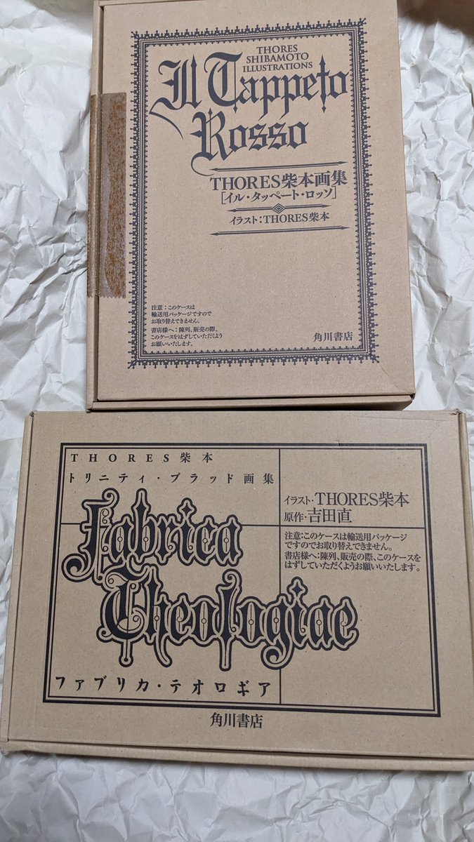 THORES先生の画集、マジで当時買っててよかった！ダンボールごと保管