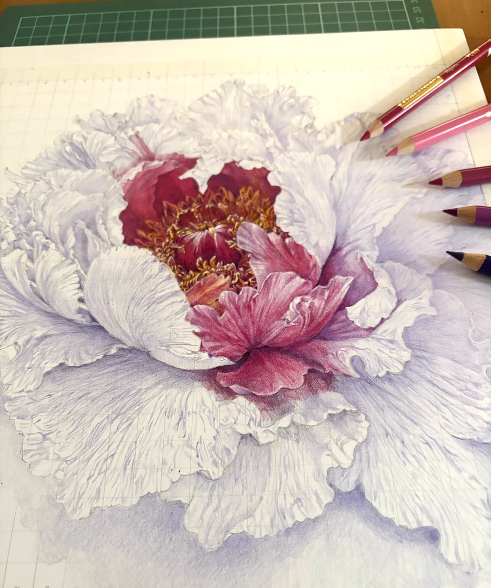 夫婦牡丹 (色鉛筆画) HJ3z3HCaQAA4JCk?format=webp&