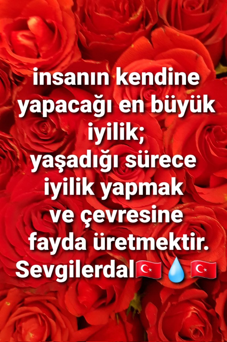 sevgilerdal's tweet photo. https://t.co/22uulL9vsP