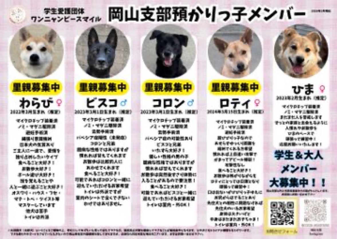 utan50736's tweet photo. #里親様募集中です❣️
ビスコちゃんとコロンちゃんは兄弟で、一緒のお家を探してます。
皆んな良い子です🤗 https://t.co/UO795DRLge