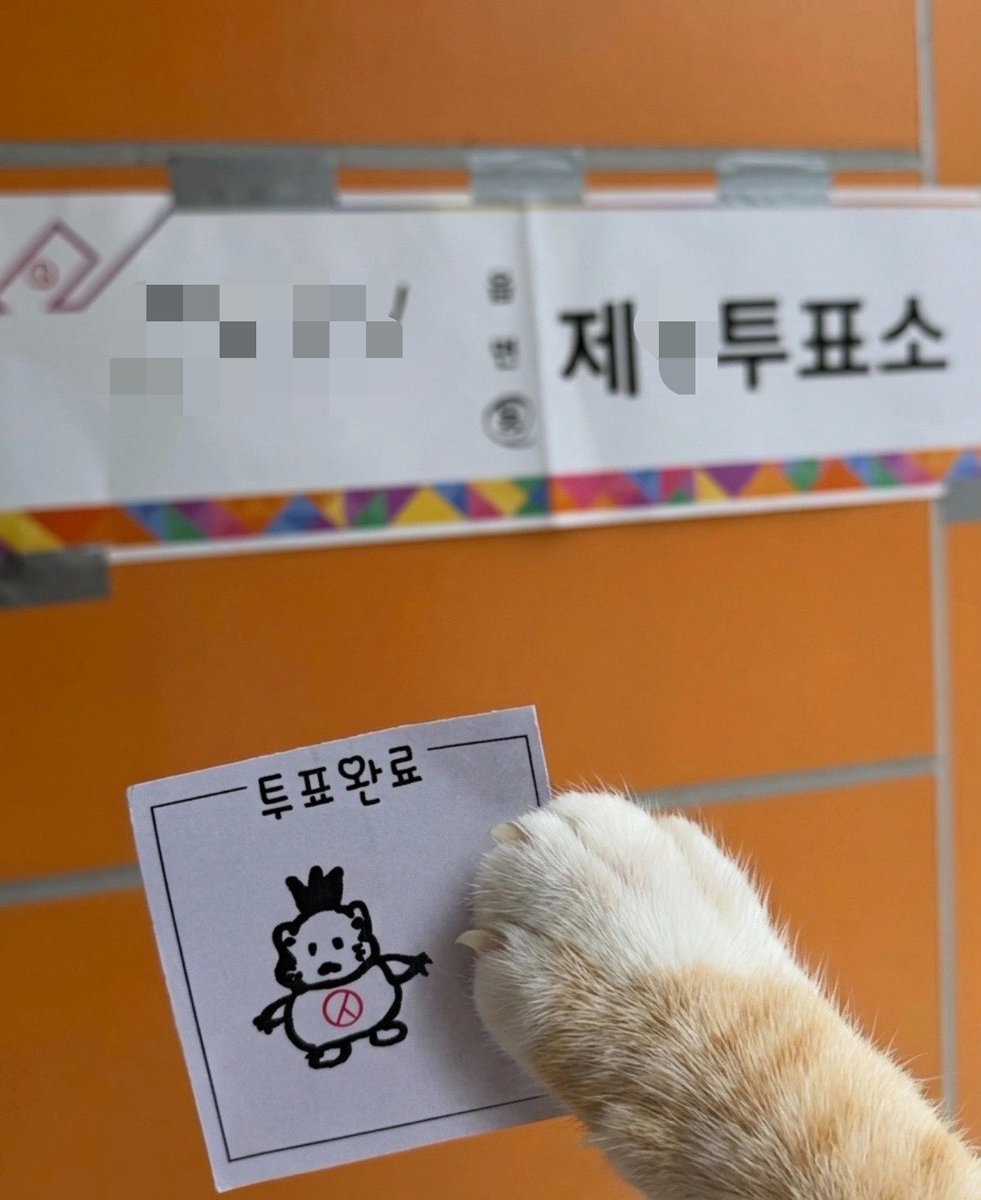 연쥬 tweet media