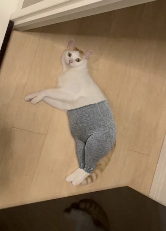 sudahotate's tweet photo. 話題の猫ヨガパンツ菅田に履かせて爆笑してる https://t.co/9RPtsRllyV