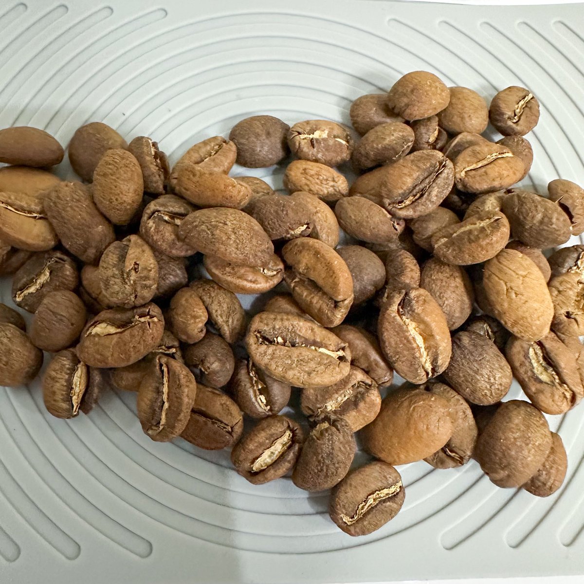 KenkenCoffee's tweet photo. Peru🇵🇪EL MORITO Washed
20g, LAGOM P80 5.0
93℃, Ratio 1:18, Total Time 3:10
TDS1.26%, EY19.56%

湯温93℃に下げてみる。

苦味の刺激がかなり抑えられた。
特に一口目の。

質感も悪くない。
クリーミーなチョコレート感。

もっといろいろ試してみよう🤔 https://t.co/voNipRLeLN