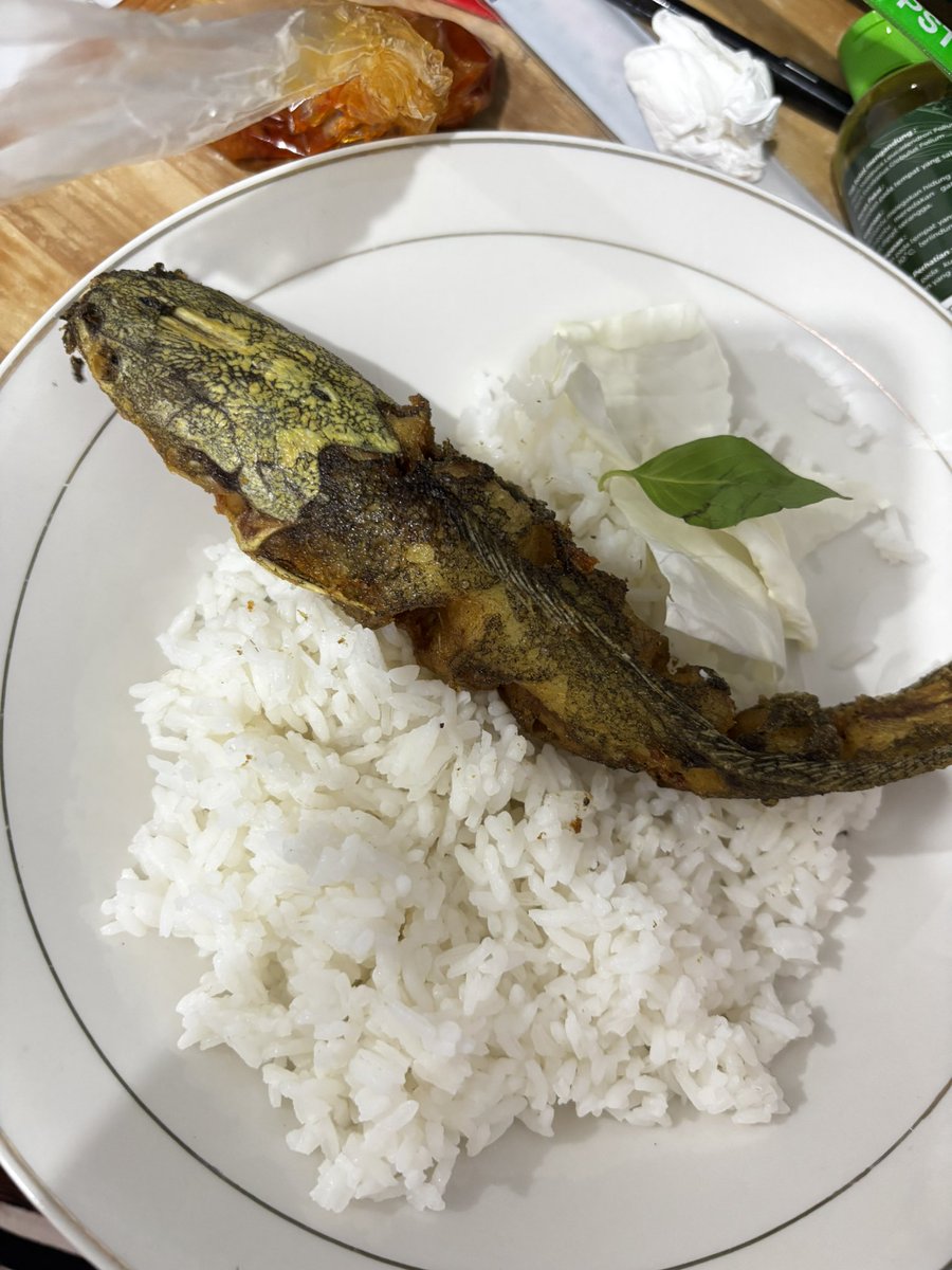 itscicilogy's tweet photo. Kalian suka lele ga? Kalau aku SUKA BANGET😋🫶🏻

Jangan lupa makan semuanya, salam dari lele https://t.co/dadjJCCAo6