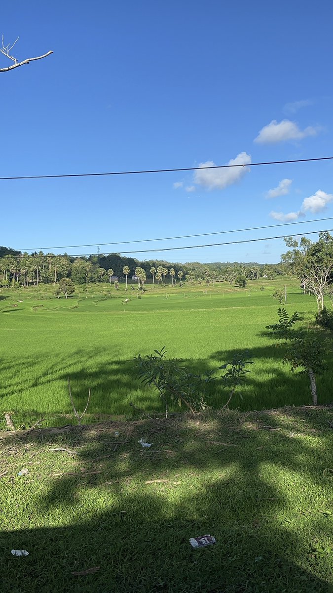 justacklll's tweet photo. seger banget liat sawah2 di #sinjai #southsulawesi 
first time main ke sini sambil kerja😍 sulawesi cakep bgt trnyta 
#worktrip #work #wednesday https://t.co/QfRGhOKeQL