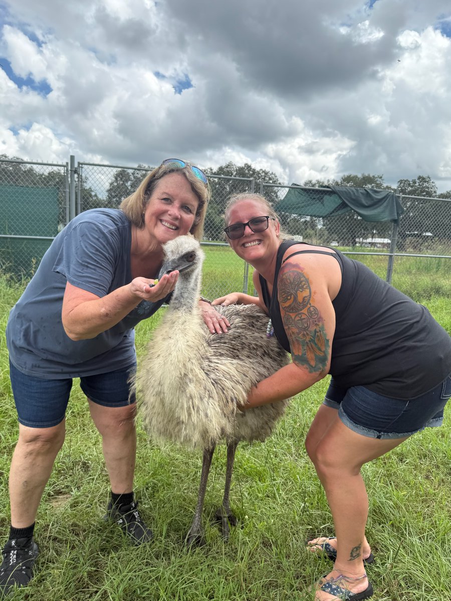 UpRvrAdventures's tweet photo. The perfect experience for the animal lover in your life! 🦜🐍 Check out our WILDLIFE PARK and get up close with amazing animals, discover intriguing facts, and participate in interactive encounters that are both educational and truly unforgettable! https://t.co/3wIKsP6Ed1 https://t.co/bPIfup1cxH