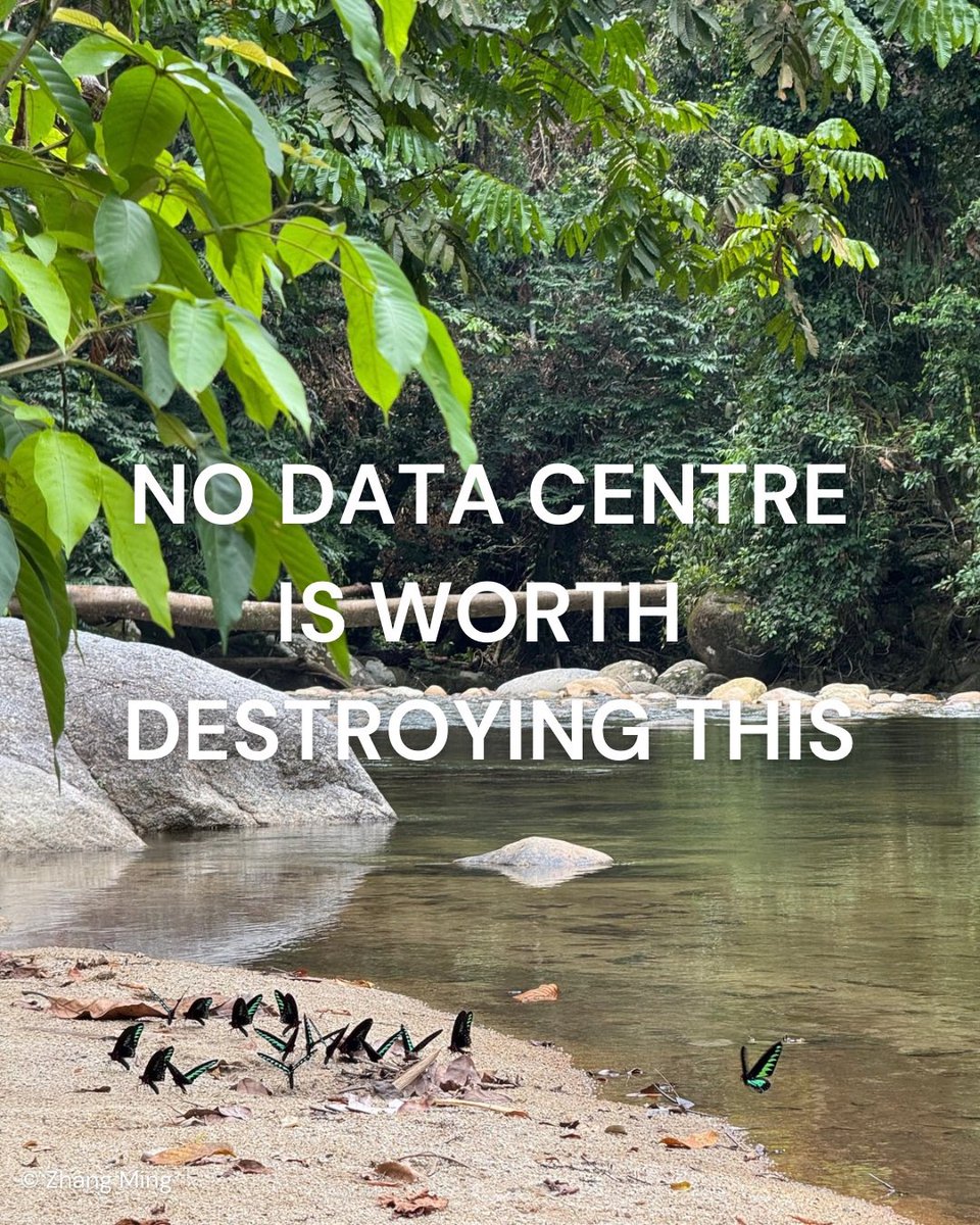 climateaidil's tweet photo. Malaysia wants to become a regional hub for AI &amp; data centres. A data centre can use up to 25.5 million tonnes of water annually. This amount can support 300,000 people every single day. 

Nothing can replace our freshwater ecosystems once they are destroyed &amp; drained. https://t.co/hb5dPw1HqS