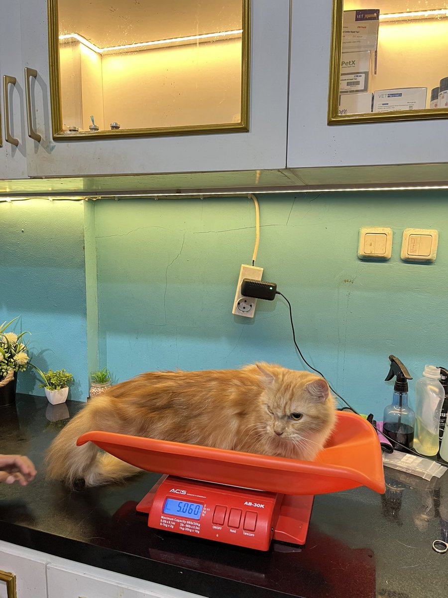 vivalovejkt's tweet photo. jemput anak abis mandi biasa https://t.co/ErIKM1xuJE