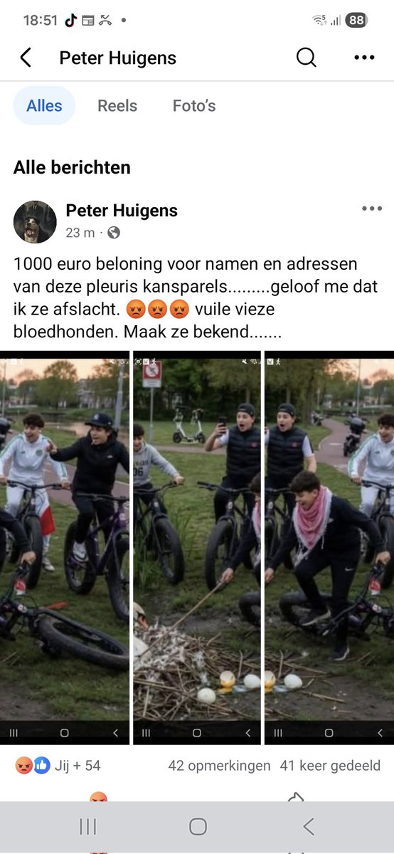 MeijertjeTanja's tweet photo. Leuk he … @JohanSnel 
Je vriendjes die de kindjes van een Zwaan doodslaan…. https://t.co/PG0Ucvl0jI