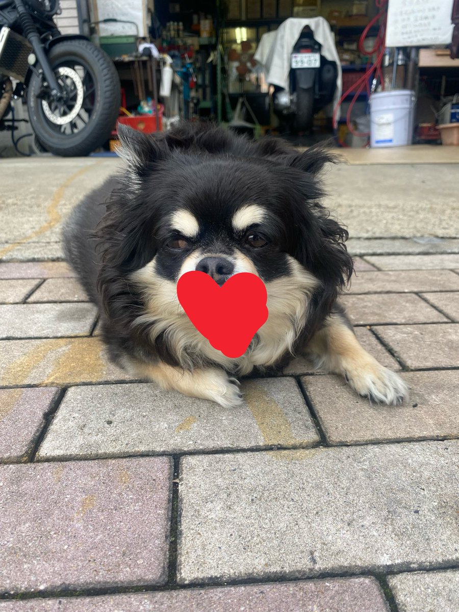 聞いて驚けっ！ 諸君！！！ うちの旦那 2台持ちになりました🤣 今日