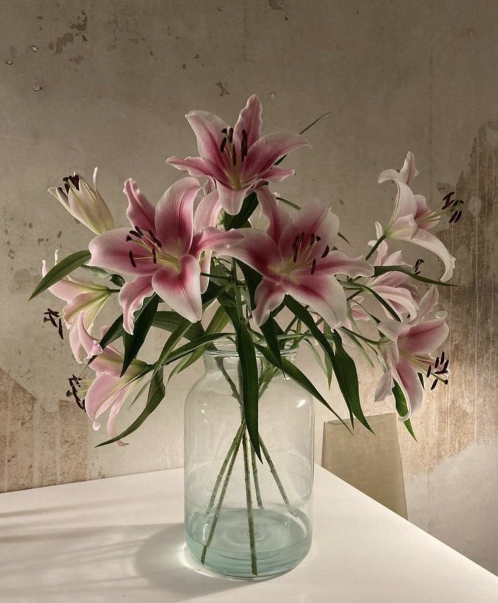 i3Moment's tweet photo. Lilies https://t.co/JHXs1RfbJ6