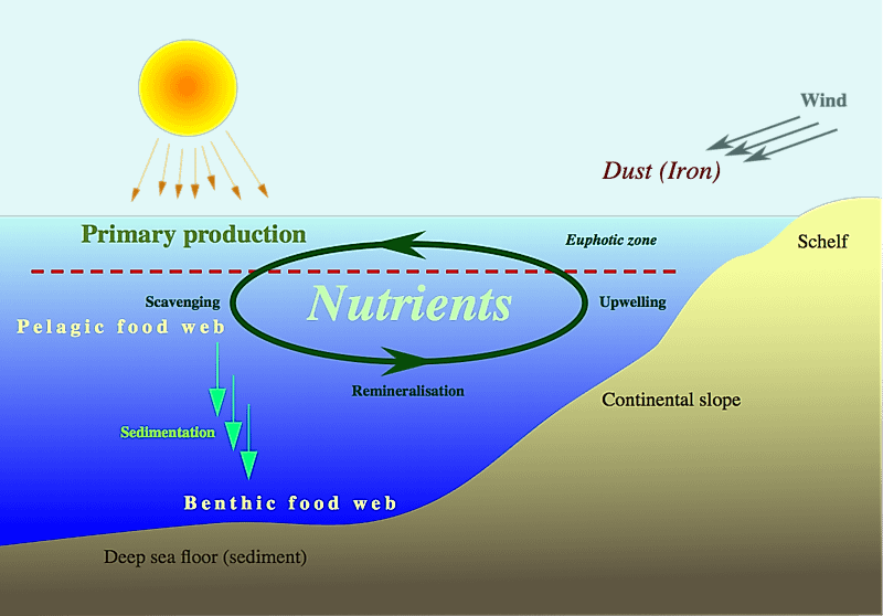 ECOWARRIORSS's tweet photo. Phytoplankton and zooplankton, where we get most of our oxygen from and which are the basis of ocean food chain are in trouble 
A warming ocean is inhibiting the upward transport of nutrients from deeper waters into the sunlit surface ocean, threatening food supply of Phytoplankton and zooplankton
The lower and upper layers of the ocean are no longer mixing properly 

as surface waters become warmer and lighter
This also decreases the ocean’s capacity to store carbon
Studies show that approximately 25% of all carbon-dioxide  emissions caused by human activities are absorbed by the oceans.