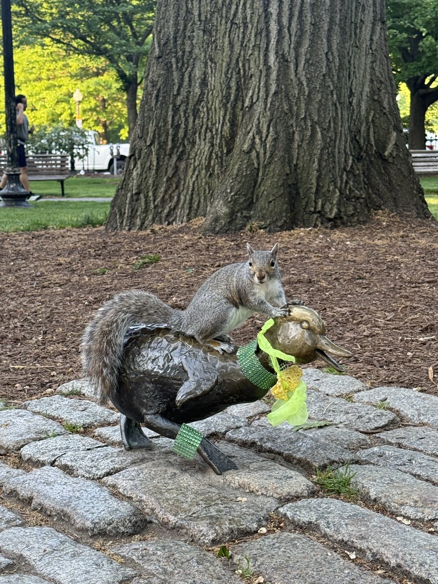 Only In Boston tweet media