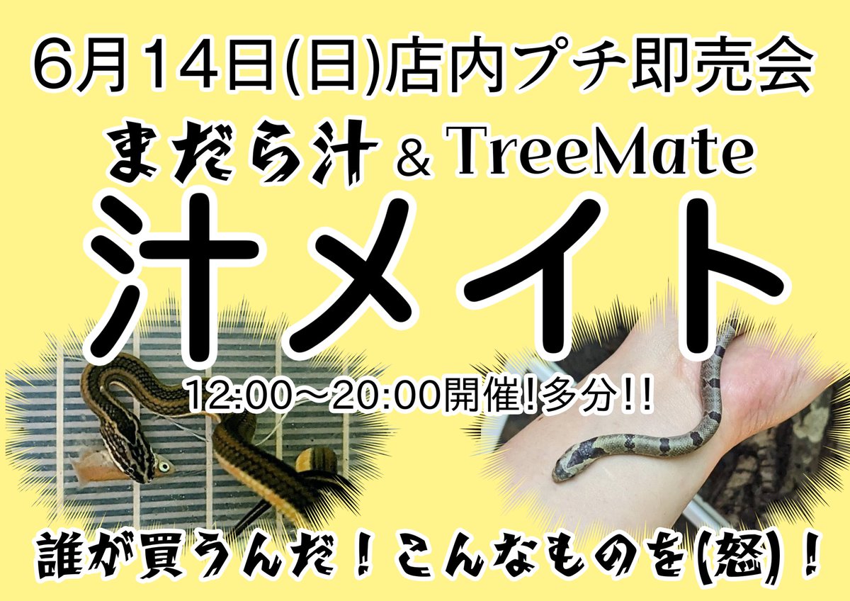 reptileshopdear's tweet photo. 今月も店内プチ即売会やりますよ！
14日(日)は汁メイト再び！！
何を持ってきて頂けるのかは分かりませんが楽しい1日になる事は間違いなしです！！ https://t.co/SkimNoi1bo