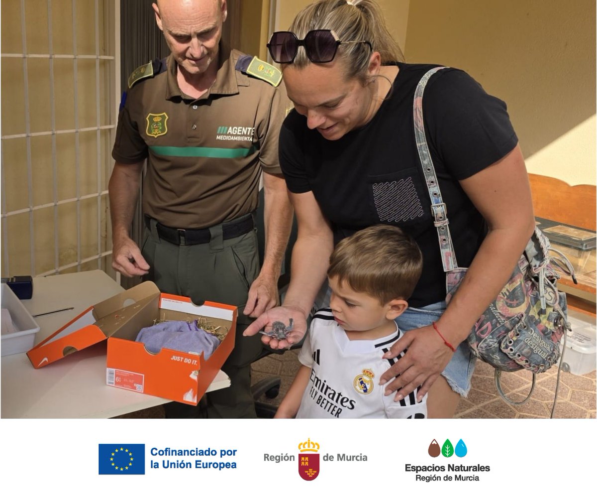 ElVallePR's tweet photo. Celebramos el #DíaMundialDelVencejo recordando la necesidad de proteger a estas aves migratorias.

¿Sabrías que hacer si encuentras un vencejo en el suelo?
🔹No lo lances al aire
🔹No intentes alimentarlo, necesitan atención especializada
🔹Llama al 112 o al 968 177 500 https://t.co/IK8KYK6d5d