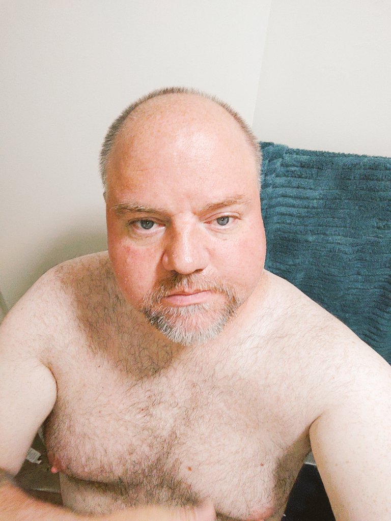 luggywolf's tweet photo. Be honest. Sexy 🐻 or fat 🫏 https://t.co/X9OjTnwGGa