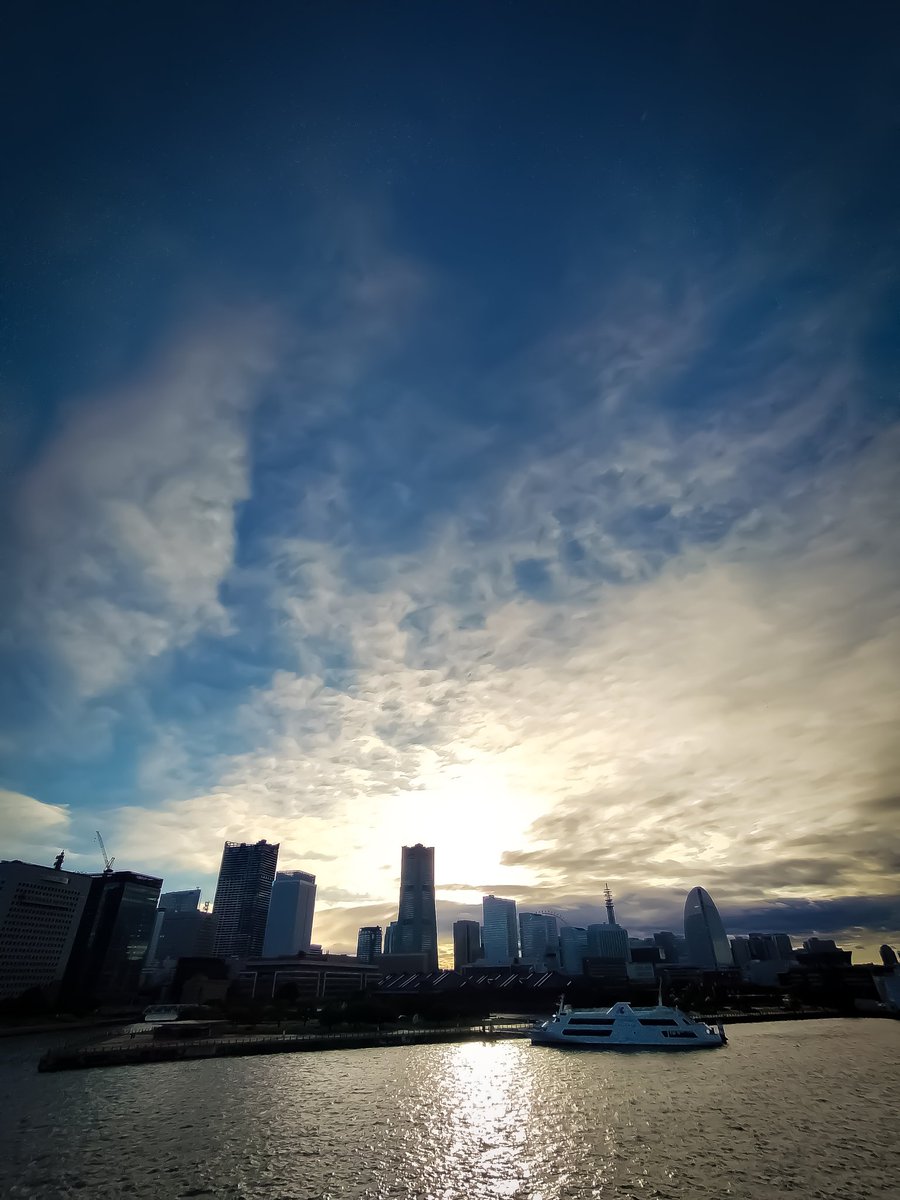 off_Bun's tweet photo. 台風一過 https://t.co/ALoZ0liGzz