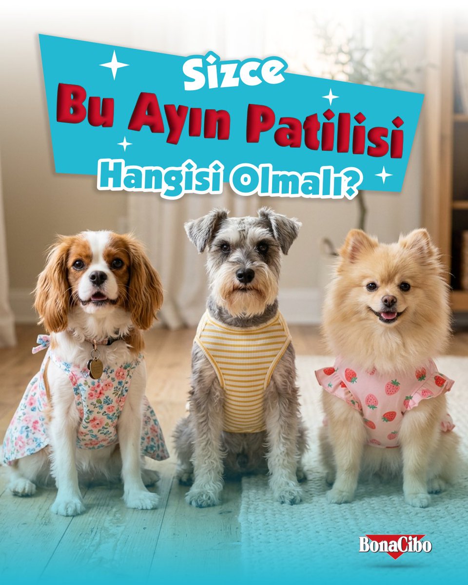 Bonacibo Cat & Dog Food tweet media
