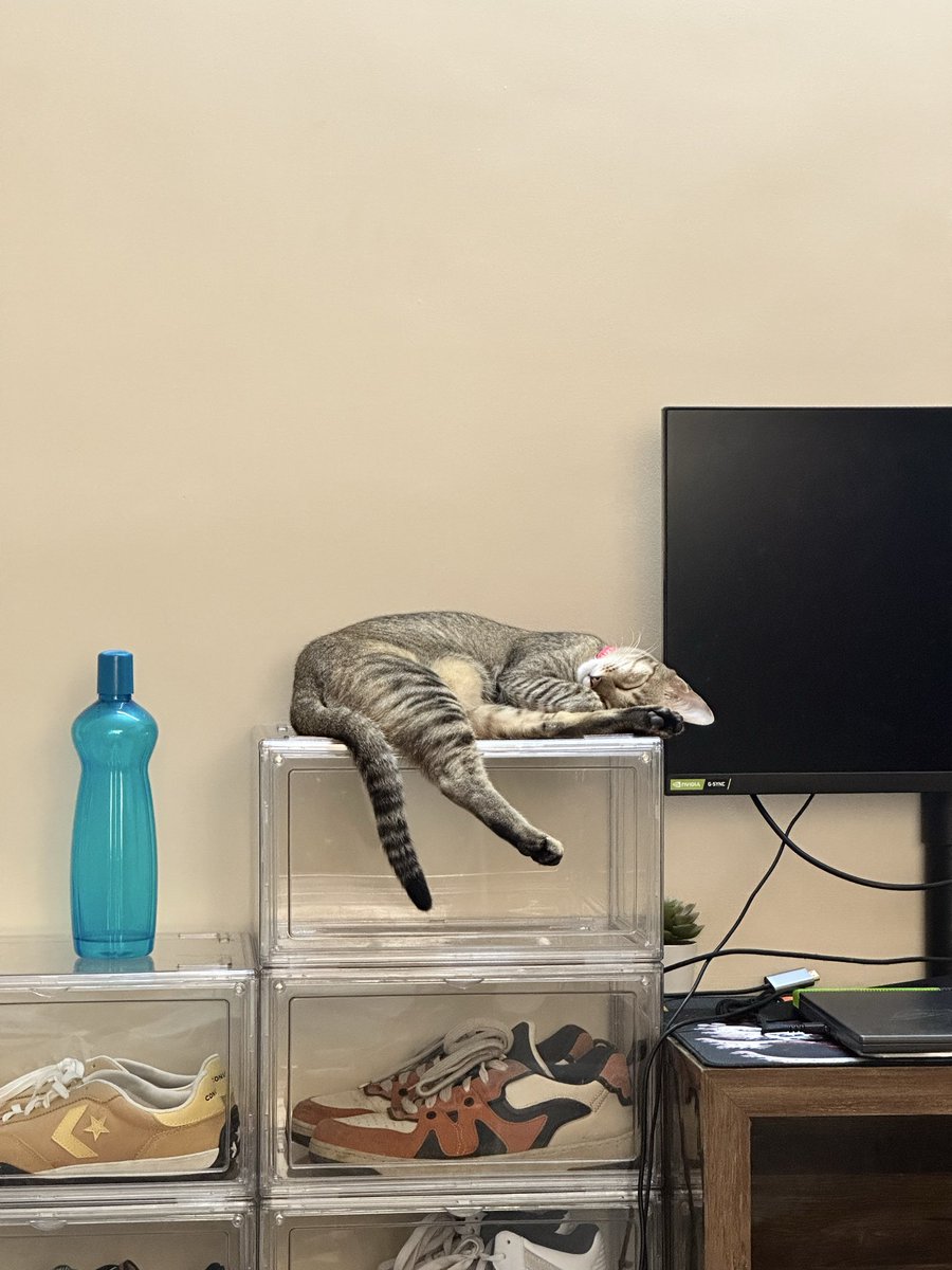 LiquidatorAB_'s tweet photo. i missed her https://t.co/YOX9L1wIw0