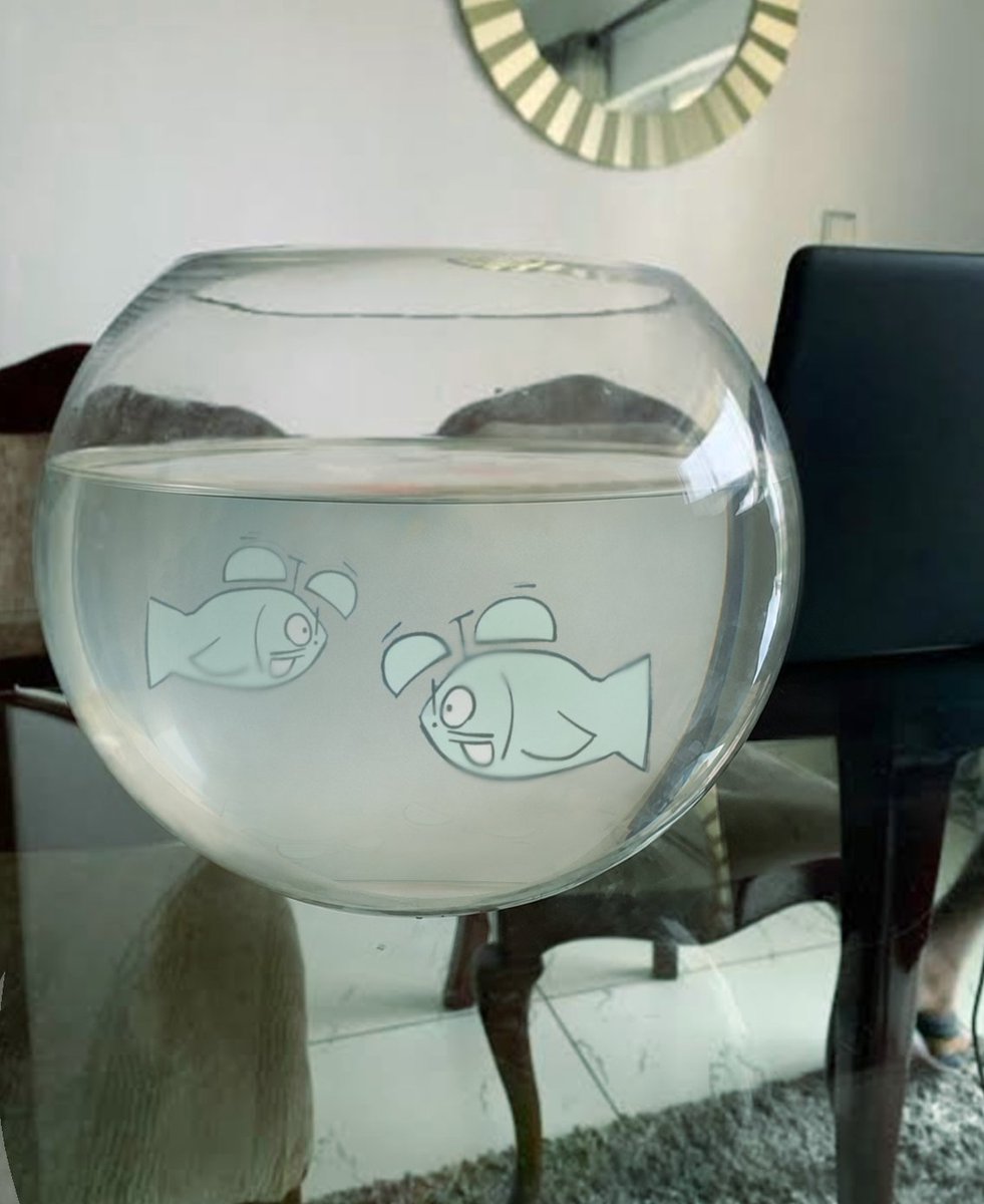 marblekone_'s tweet photo. New pet guyss!!! yall like?? https://t.co/PXn3vZ8d4V