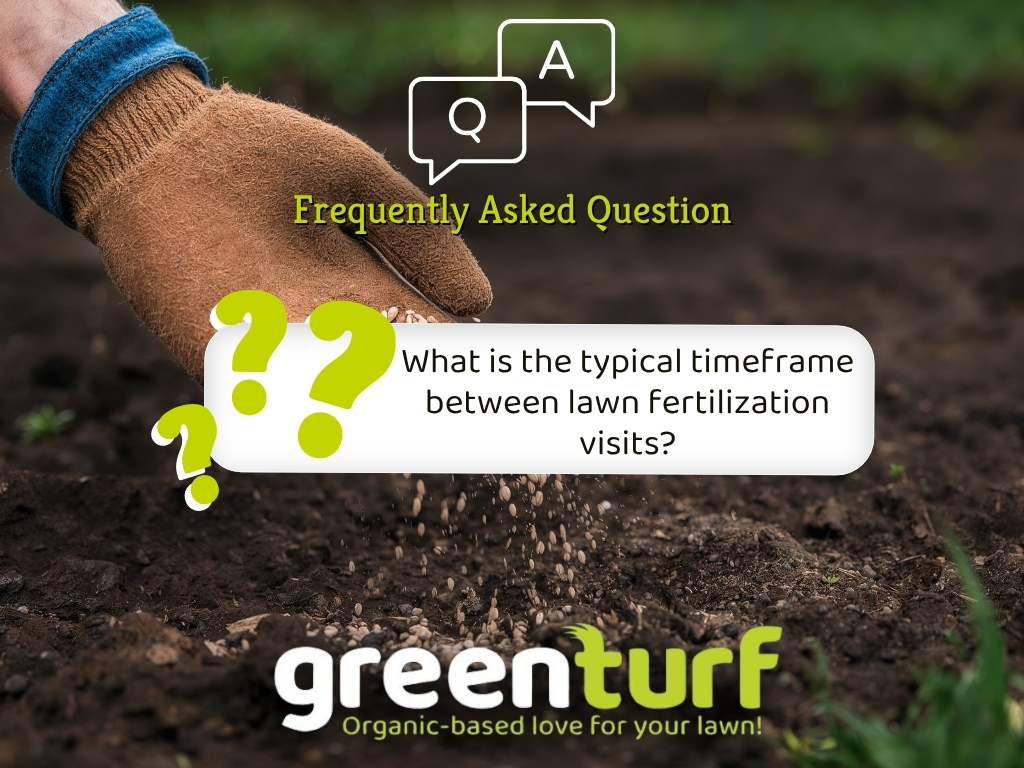 GreenTurfCT's tweet photo. FAQ: How often are fertilization visits? 🌱

Every 4–6 weeks to support steady growth, better color, and long-term health.

👉 https://t.co/neCjQfjqCA
#LawnFertilization #GreenTurf https://t.co/Y4Z3XzCscb