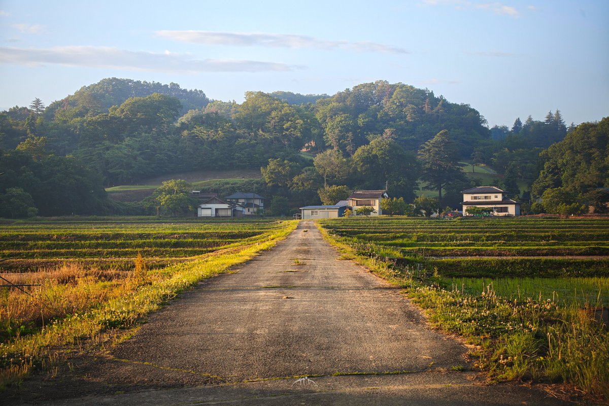 BSN_X's tweet photo. 田舎撮り適正が高い
#Xiaomi17Ultra (JPEG) https://t.co/F1VqHYvJmj