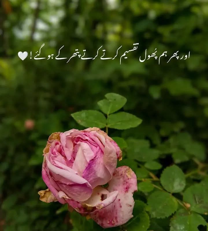 Aviator_Zero's tweet photo. کتنا خوبصورت ہوتا ہے جب ہم اعتماد سے بات کریں، سلیقے سے مزاح کریں، ادب سے مانگیں اور سچائی سے معذرت کریں۔۔۔۔!!

کیونکہ ہر وہ شخص جو حروف سیکھ لیتا ہے ضروری نہیں کہ وہ گفتگو کا ہنر بھی جانتا ہو۔۔۔۔!! 

لکھنے والے تو بہت سے ہیں مگر پڑھنے والے کم اور سمجھنے والے تو بہت ہی نایاب ہیں۔۔۔۔!💜
#اردوقومی_زبان 
#سرگوشی 
#spicemill