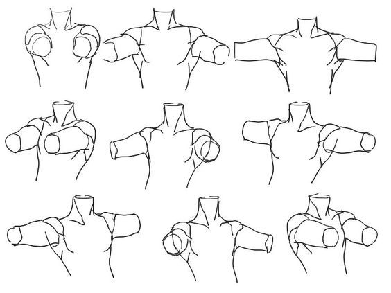 LimboSketch's tweet photo. Arm and torso position study you can do now https://t.co/xYg0qTpYPH