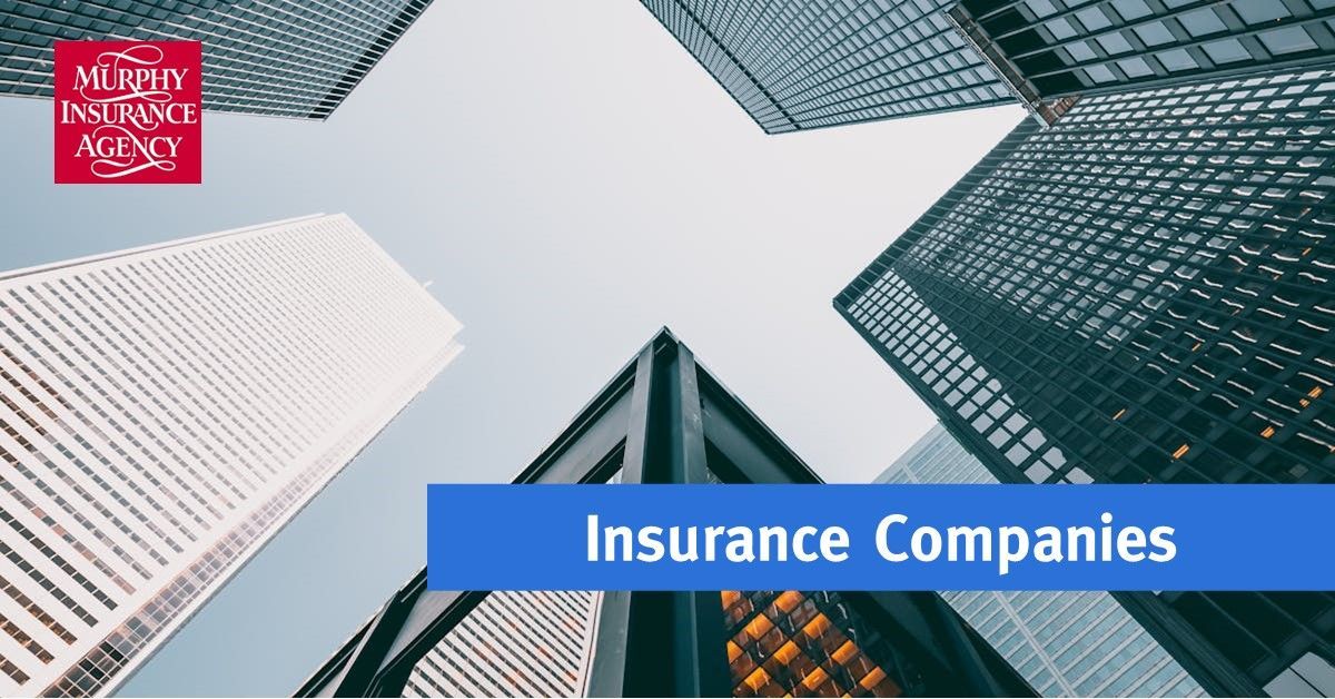 MurphyInsurance's tweet photo. An #IndependentInsuranceAgency gives you options.

#MurphyInsurance works with many trusted insurance companies, plus has access to 100+ more, to help tailor coverage for your personal or business needs.

More choice. More flexibility. Better fit.

📞 800.222.8711 | 🔗 https://t.co/32Q0vSJHoe 

#Personal Insurance #BusinessInsurance #IndependentAgent #ProtectWhatMatters