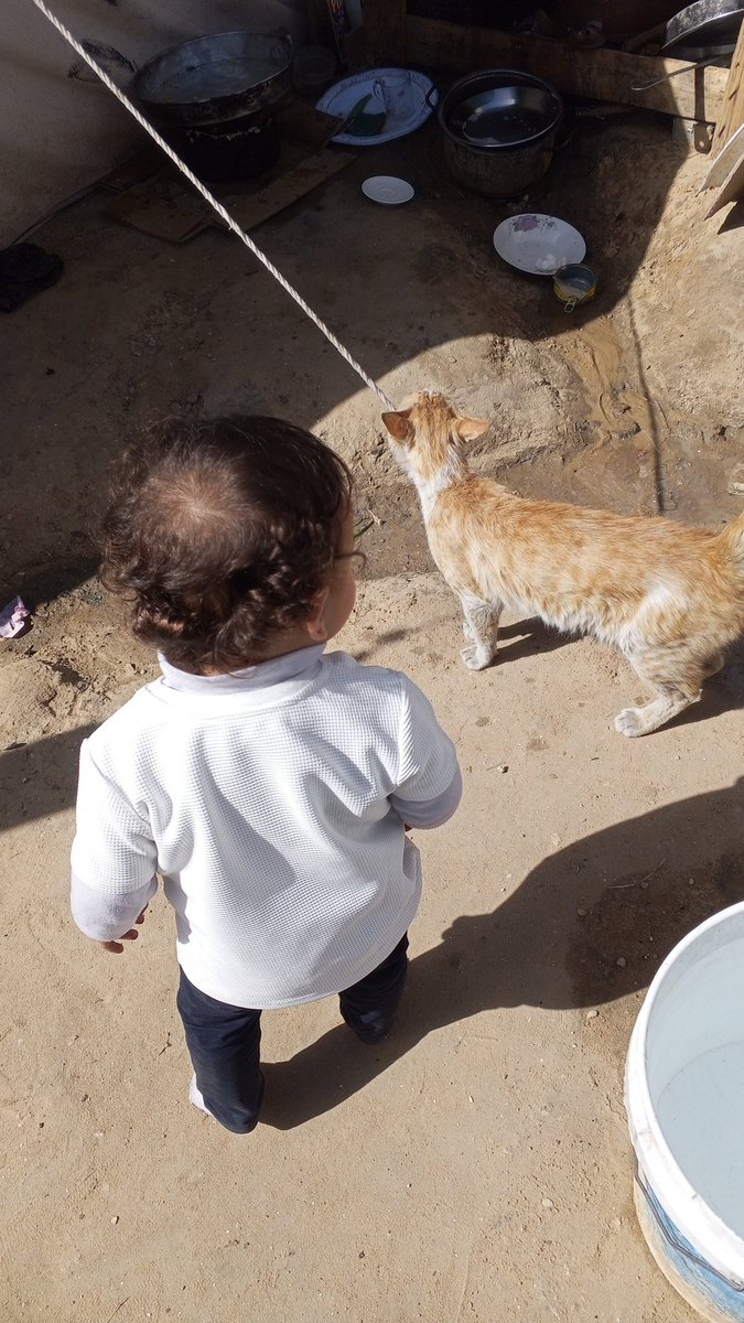 Ahdieeve's tweet photo. Hello my brother/sister, I sincerely ask you to stand by me and support me with a small donation or by sharing my account so others can see it and help me.
https://t.co/8mvCucuN4l هو https://t.co/xPeLLqkY1e