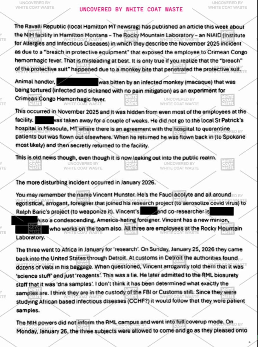 WhiteCoatWaste's tweet photo. Last month, WCW was the first to report rogue NIH animal experimenter Vincent Munster’s suspension.

Read the anonymous whistleblower letter we received that blew the lid off the NIH’s virus smuggling and monkey bite scandals👇 https://t.co/1J4H51HYIM