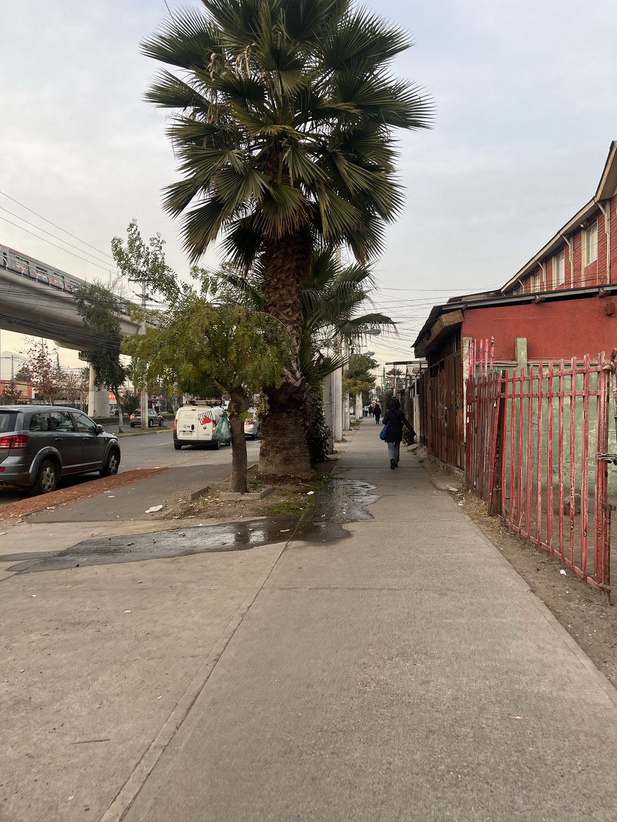 Catalina__PD's tweet photo. @MuniLaFlorida Solicito su intervención por una situación que lleva meses sin solución en Av. Vicuña Mackenna 12451. Existe acumulación permanente de agua estancada y basura generando malos olores, problemas de salubridad y riesgo para los peatones. Se agradece fiscalización https://t.co/mOE4XWwnMN