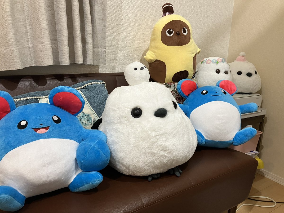 mango_manbo's tweet photo. しっぽみてみてマリルちゃんが仲間入り！ https://t.co/YjpX4ZmBJ7