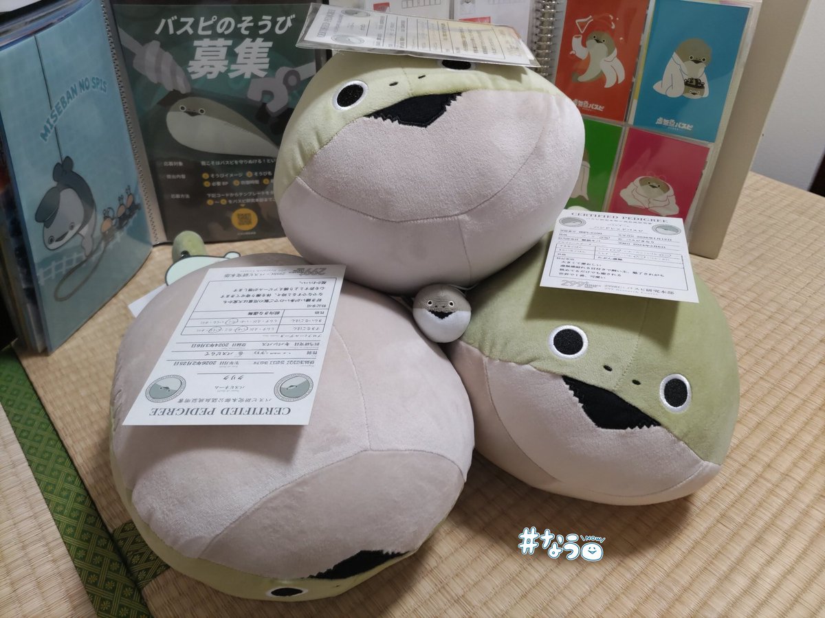 owl_wolfman's tweet photo. わーい！血統書が届い…た…(唐突の尻尾付きに大困惑w)！？
無事、皆に行き渡ってヒャッハー✨
今なら言えますがスネバスピ個体が一匹おりますw
いつももみくちゃされてもスネながら虚無ッ…となかなか心を開かぬという(笑)。
研究員様、ありがとうございます！

一生、大事にするぅ…！
#虚無魚バスピ https://t.co/wJ5YxgOXnG