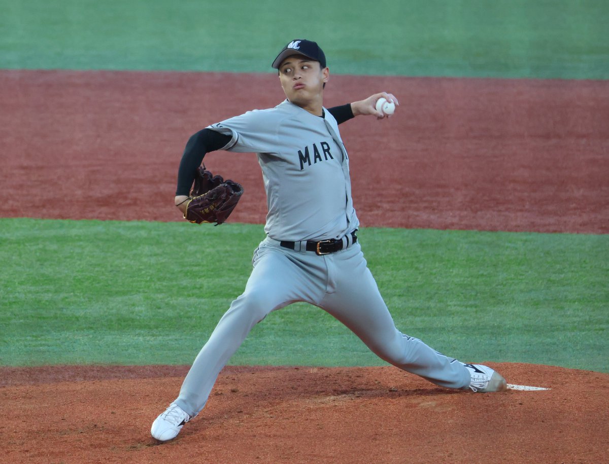 神宮の杜の主 tweet media