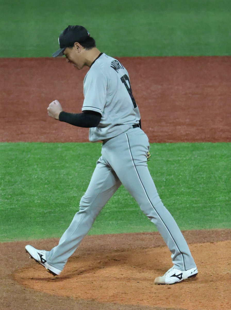 神宮の杜の主 tweet media
