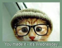 RichardImmoos's tweet photo. @JordanBrace8 Good morning Jordan. Happy Wednesday. 🇺🇸☀️🛻🚜 https://t.co/rzm5eBrjDK