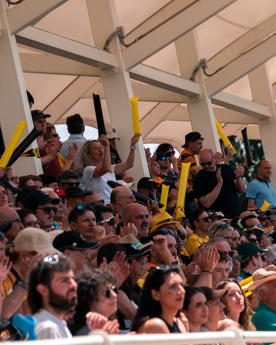 RugbyAparejos's tweet photo. Gualdinegros, este domingo necesitamos que se nos oiga desde Pepe Rojo hasta Burgos, ¡contamos con vosotros!💛🖤

#EligeRugbyEligeBurgos
#Burgos https://t.co/ab34dEGSIG