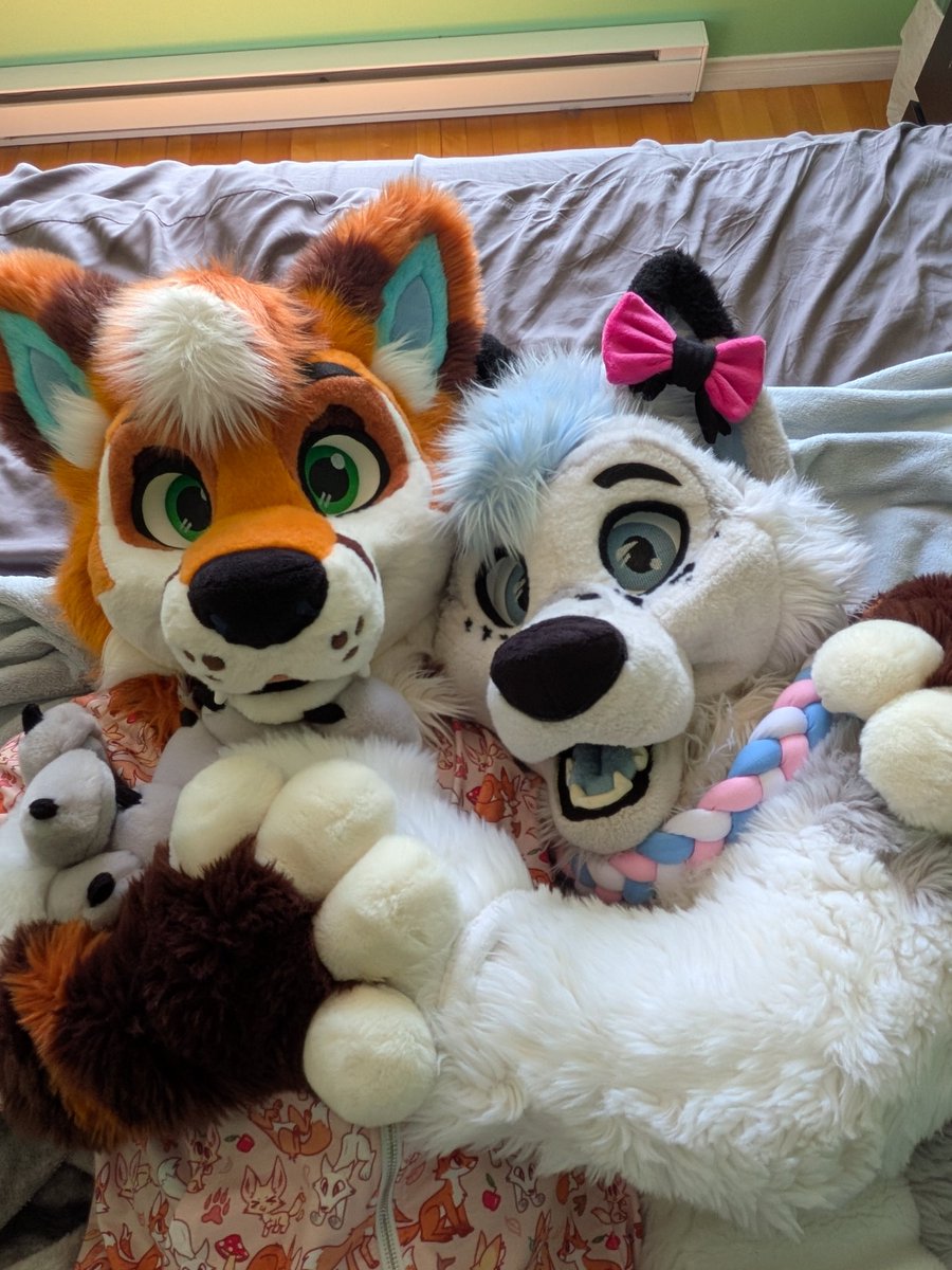Artythefoxx's tweet photo. Big hug from a small fox @MikeTheFox07 💙

📷 @NabiWolfy https://t.co/HC3LSmSXPn