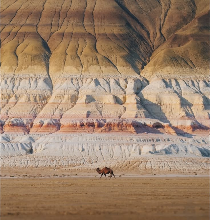 ScienceXnature's tweet photo. The "layered cake mountain" is Bokty Mountain (sometimes spelled Bakty), located in the Mangystau region of western Kazakhstan. https://t.co/s9RYzhSBq9