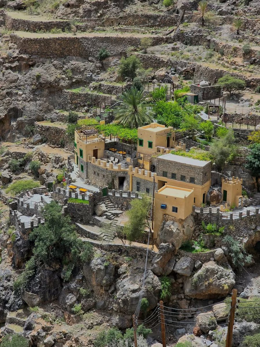 ExperienceOman's tweet photo. #WajmahVillage combines nature and heritage 🌿

Located at an altitude of 1,250 meters, it enjoys a mild and refreshing climate throughout the year 🧘‍♂️

It’s known for its terraced farms and historical landmarks, while its rural lodge offers a peaceful stay surrounded by beautiful natural scenery

Insta: 📸 Ibrahim Albusaidi

#Oman
#OmanByYou
#ExperienceOman
#BeautyHasAnAddress