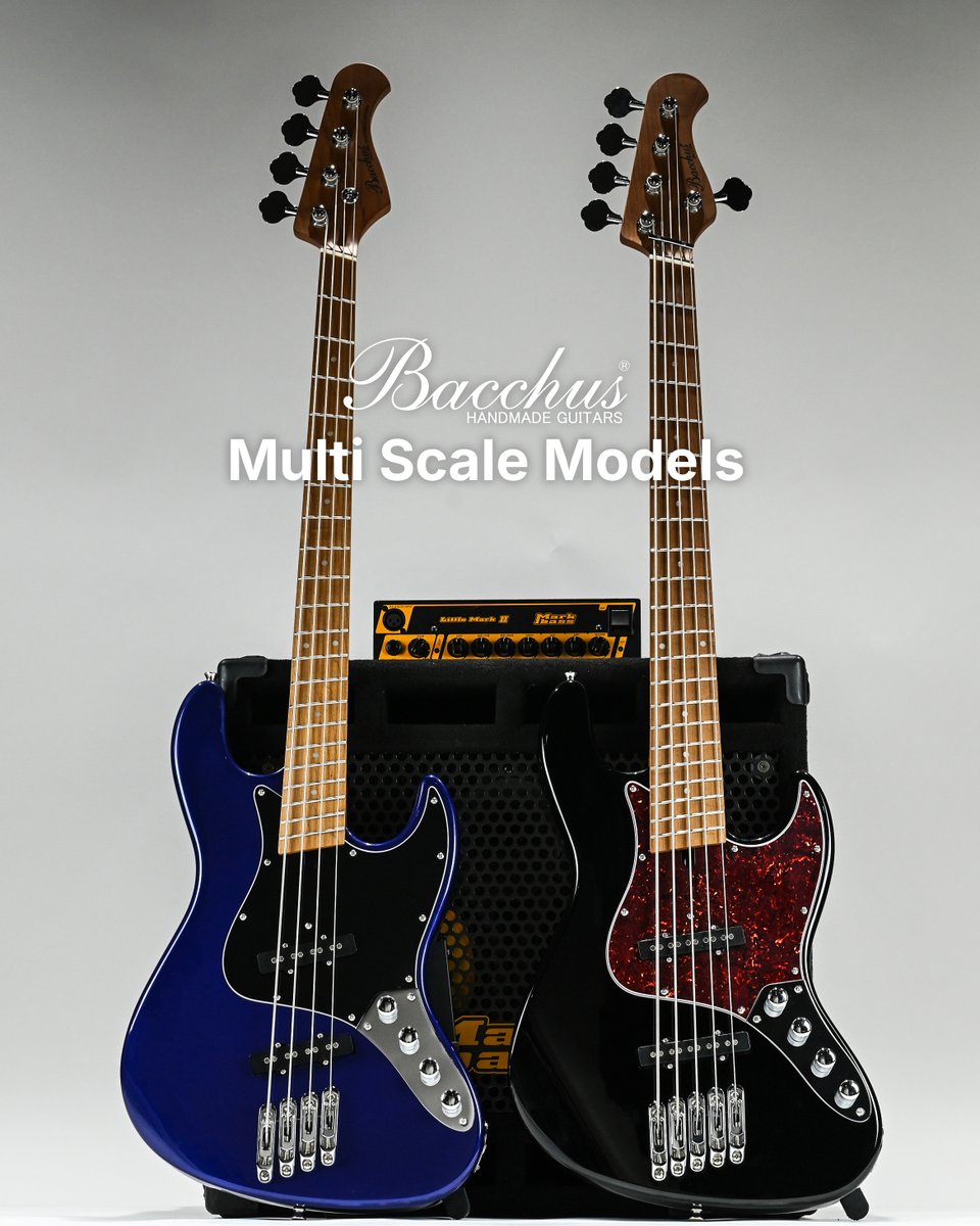 🎸Bacchus Universe Series🎸 🔥マルチスケールモデル🔥 今週より全国