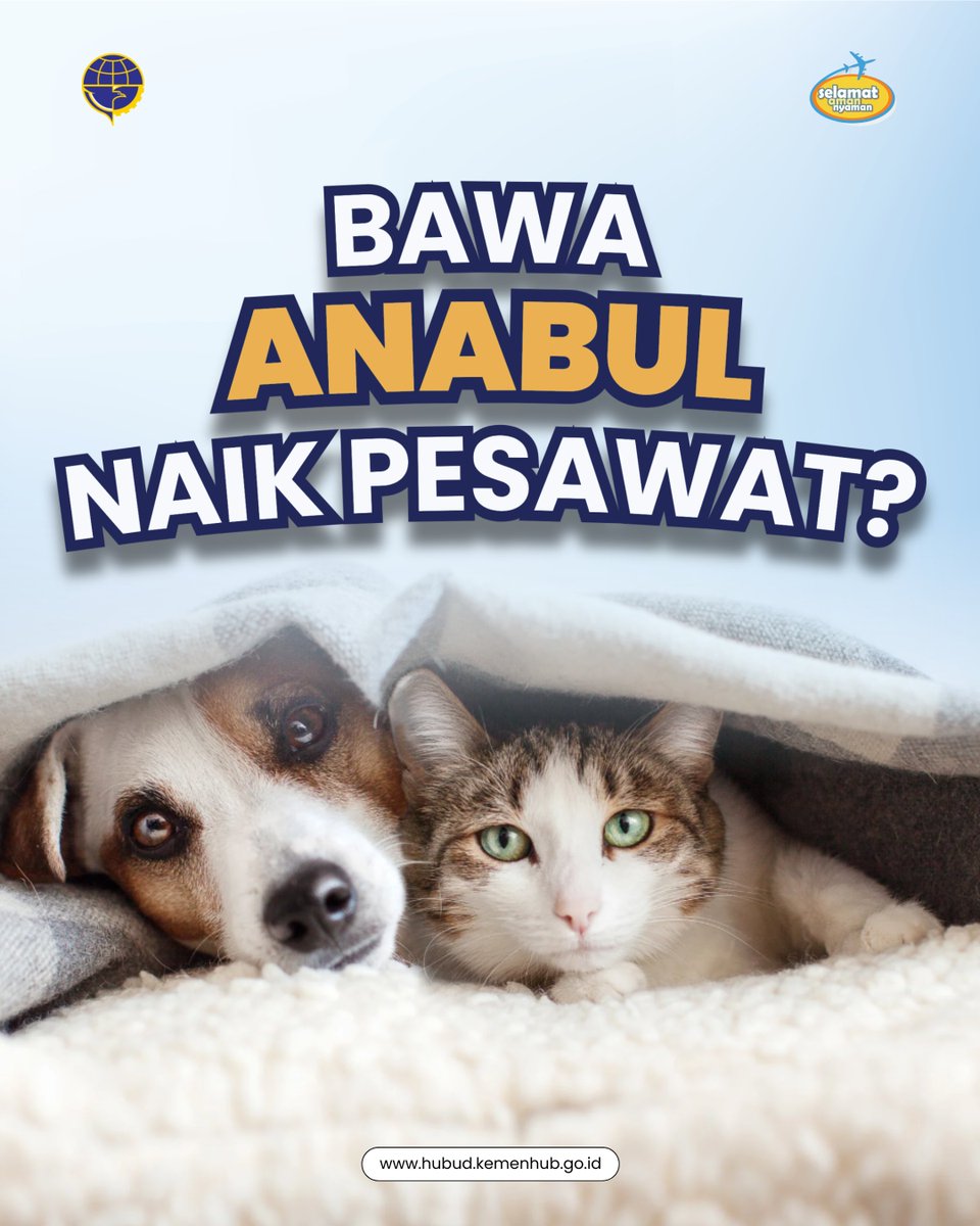 djpu151's tweet photo. Mau bawa anabul naik pesawat? 🐶🐱✈️
Bisa banget, asal memenuhi syarat dari maskapai dan aturan penerbangan ya. Pastikan kandang, dokumen, dan kesehatan anabul sudah siap sebelum terbang.

#MenghubungkanIndoensia
#LewatUdara
#SelamatAmanNyaman https://t.co/eP1koL7Sxh