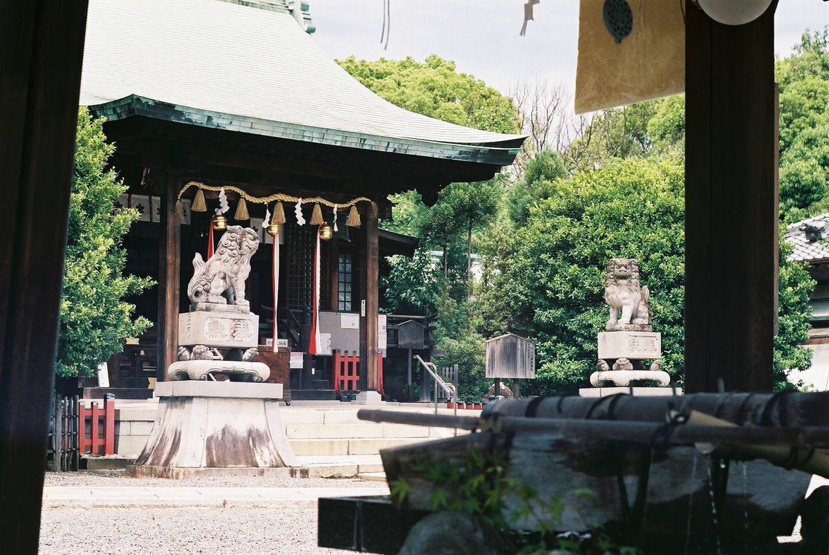 malca_flex's tweet photo. minolta  SR-1と５月の千種区散策  ５

minolta  SR-1
AUTO  ROKKOR-PF  1:1.4  f=58mm
FUJICOLOR100

八幡宮参拝

２枚目は連理木という縁結び・良縁祈願の御神木。 https://t.co/vXPrmtF2Fk